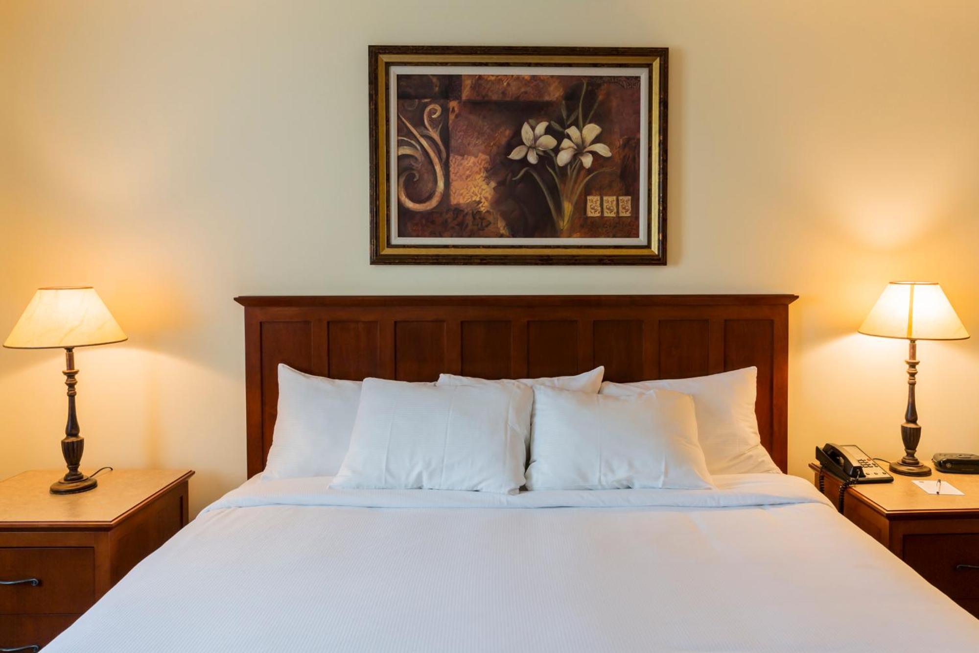 Hotel St-Bernard Saint-Bernard-de-Lacolle 外观 照片